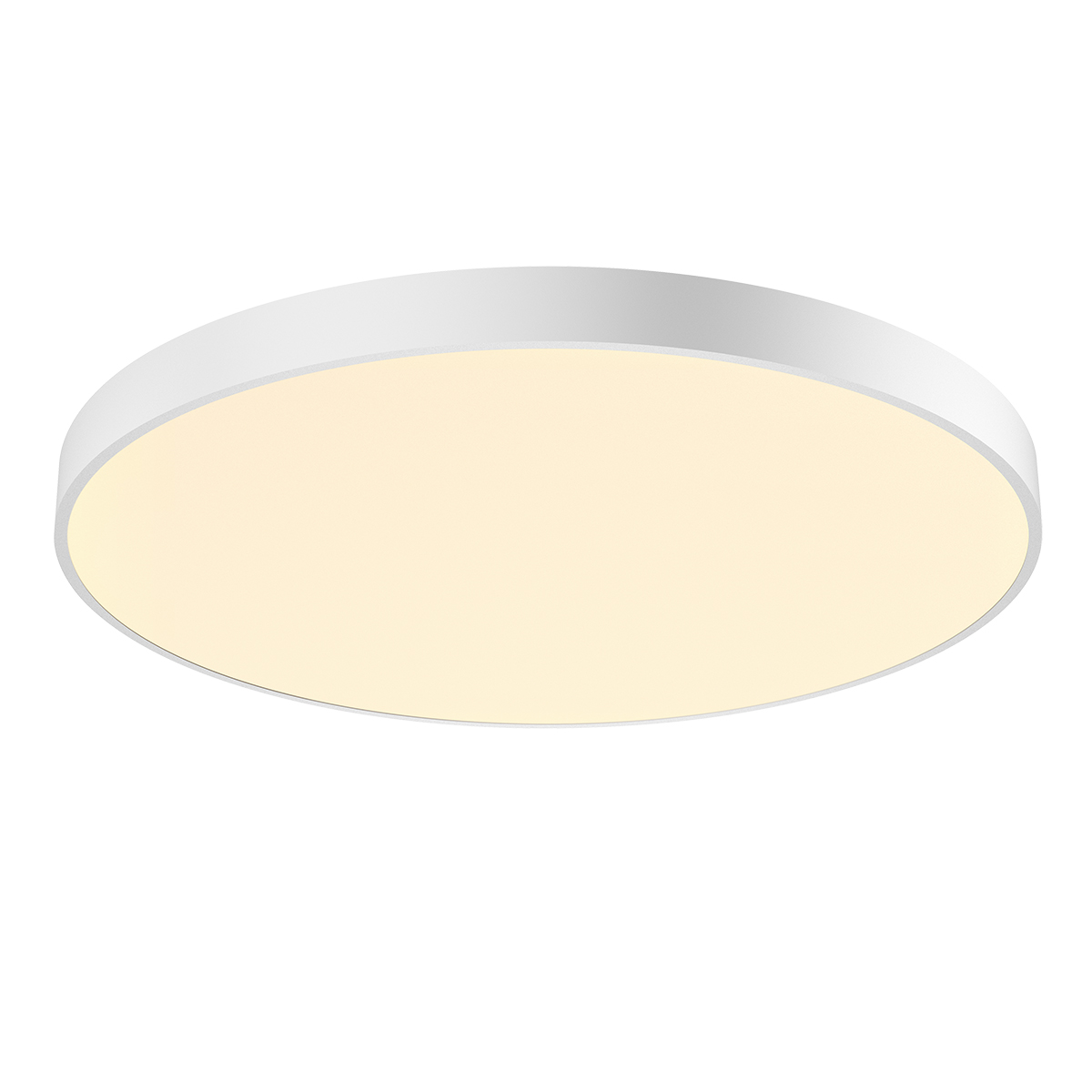 Decken- und Wandaufbauleuchte Delight II LED, Ø 900 mm